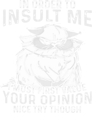 Grumpy Cat In Order To Insult Me I Must First Value Your Opinion Shirt
