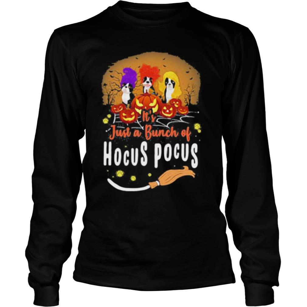 Halloween it’s just a bunch of hocus pocus shirt