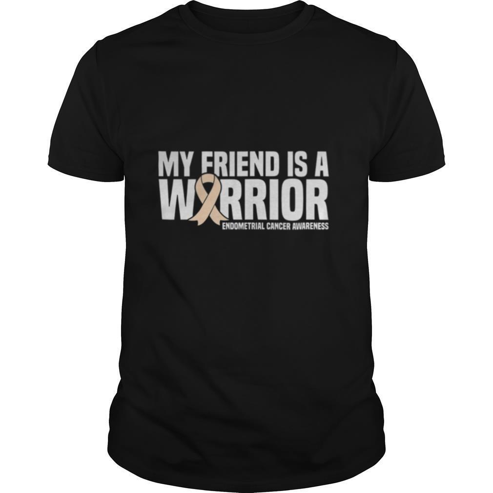 My Friend is a Warrior Endometrial Cancer Awareness shirt
