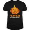 Golden retriever pumpkin pumpkin don’t scare me i fart easily halloween shirt