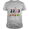 It’s Ok To Be Different Baseball Flamingo shirt