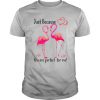 Flamingo Just Because You Are Perfect For Me shirt
