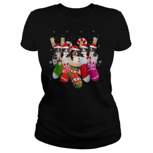 Bernese Mountains In Sock Christmas Ugly Xmas T Shirt