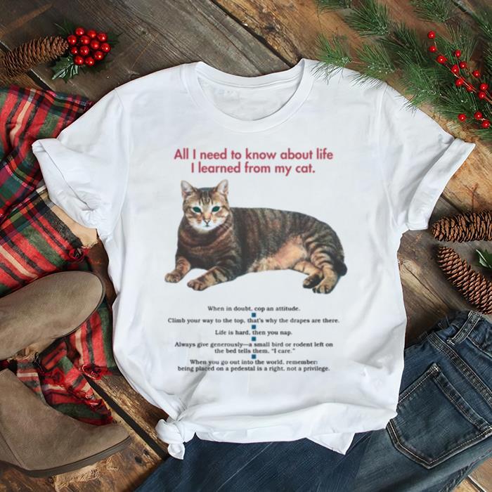 All I Need To Know About Life I Learned From My Cat Tabby Cat shirt